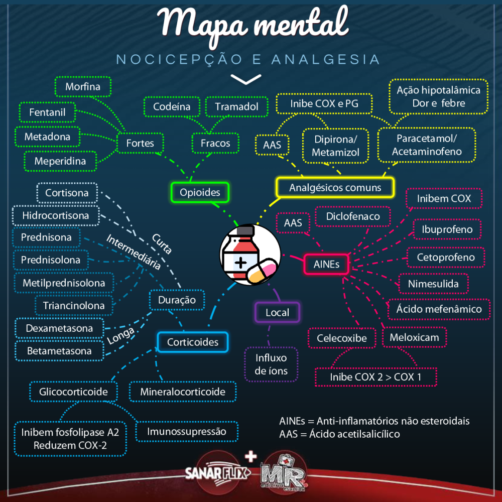 Mapa mental - Nocicepção e Analgesia - Baixar pdf de 