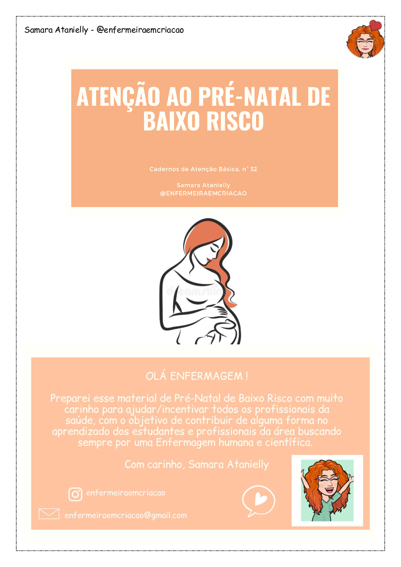 MATERIAL PRÉ-NATAL DE BAIXO RISCO CADERNO 32 PDF OPÇÃO 1 - Baixar pdf de  