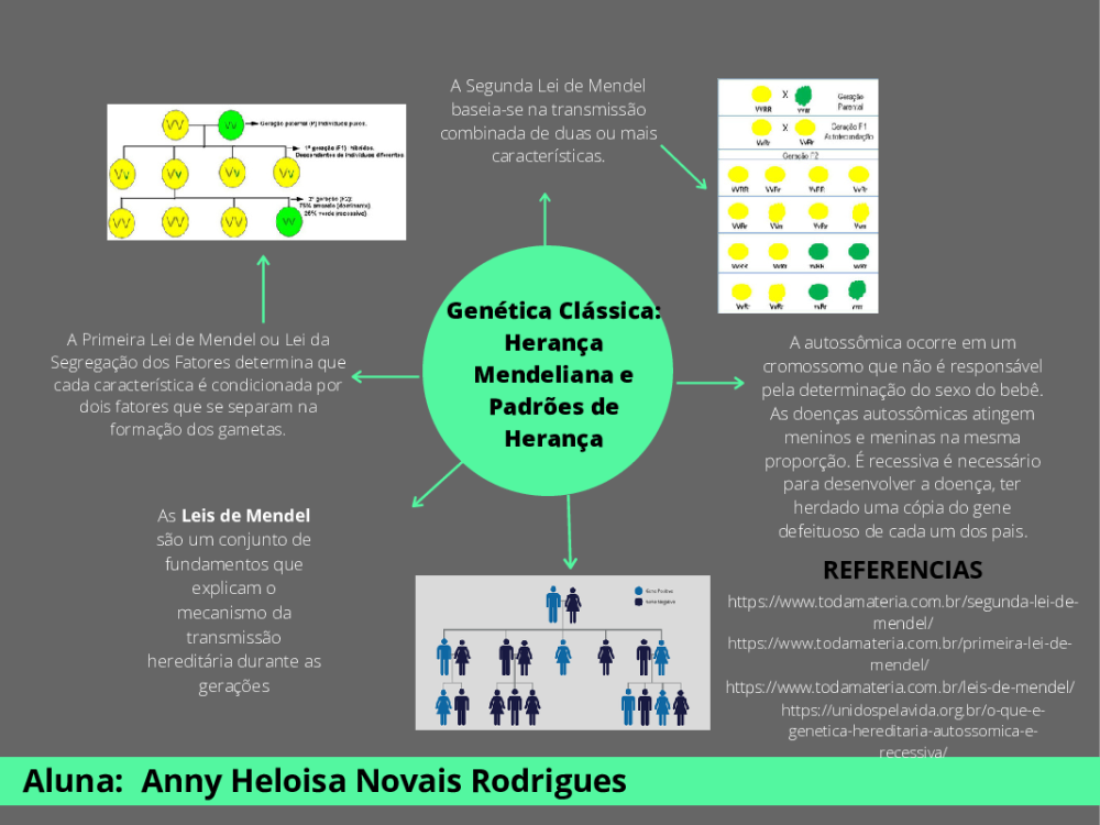 MAPA MENTAL Genética Clássica Herança Mendeliana e Padrões de Herança -  Baixar pdf de 