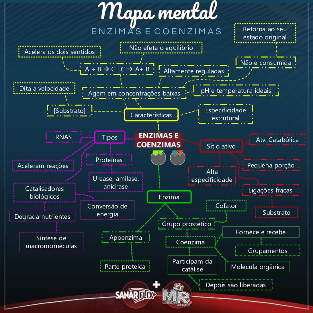 Mapa Mental Cinética Enzimática - Baixar pdf de 