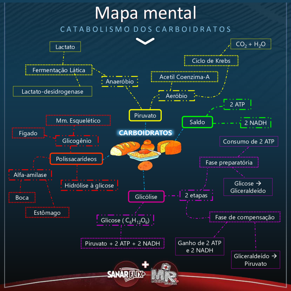 Mapa Mental Catabolismo dos Carboidratos - Baixar pdf de 