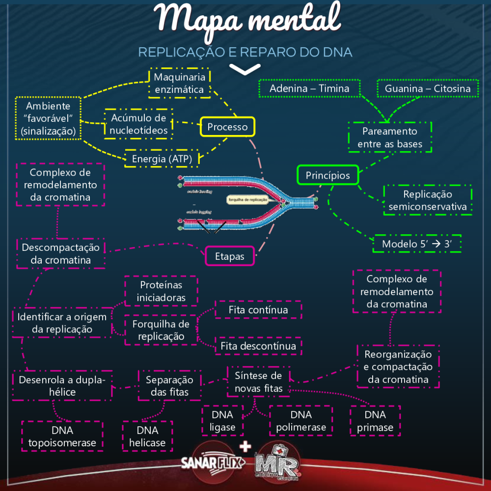 Mapa Mental Replicação e Reparo do DNA - Baixar pdf de 