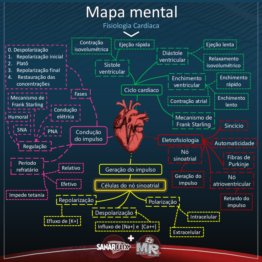 Mapa Mental Fisiologia Cardíaca - Baixar pdf de 