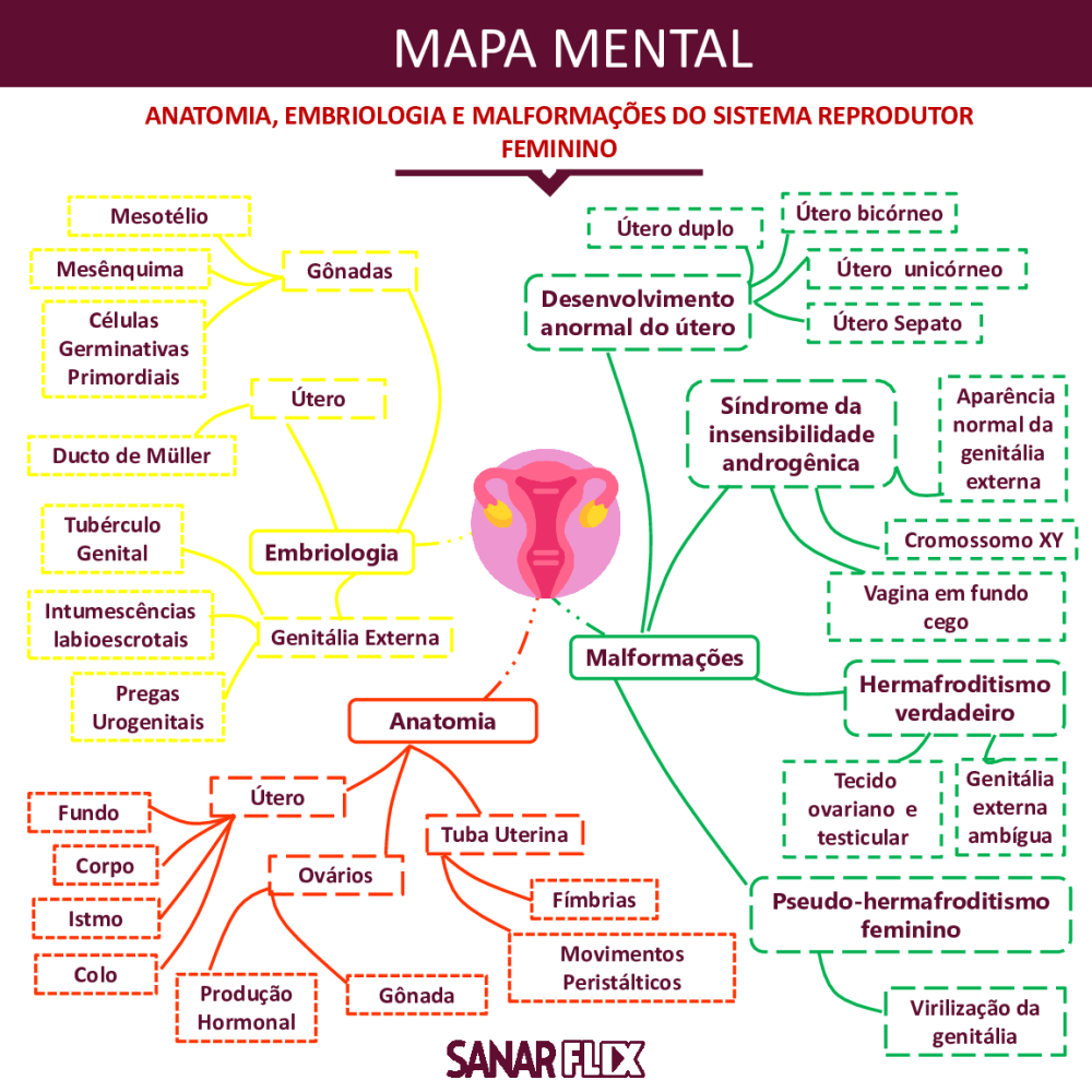 MAPA MENTAL - Sistema Reprodutor