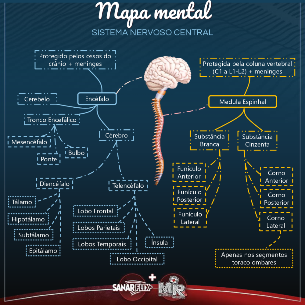 Mapa Mental Sistema Nervoso Central - Baixar pdf de 