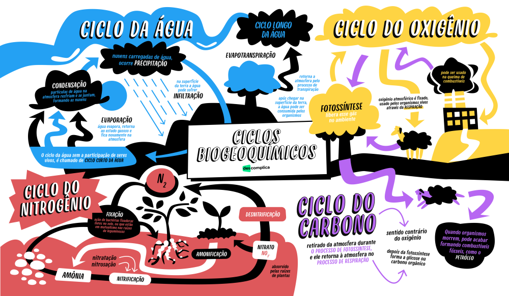 Mapa mental - Ciclos Biogequimicos - descomplica - Baixar pdf de 