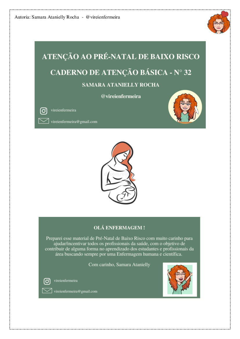 RESUMÃO PRÉ-NATAL DE BAIXO RISCO CADERNO 32 PDF - SAMARA ATANIELLY  @VIREIENFERMEIRA - PDF - Baixar pdf de 