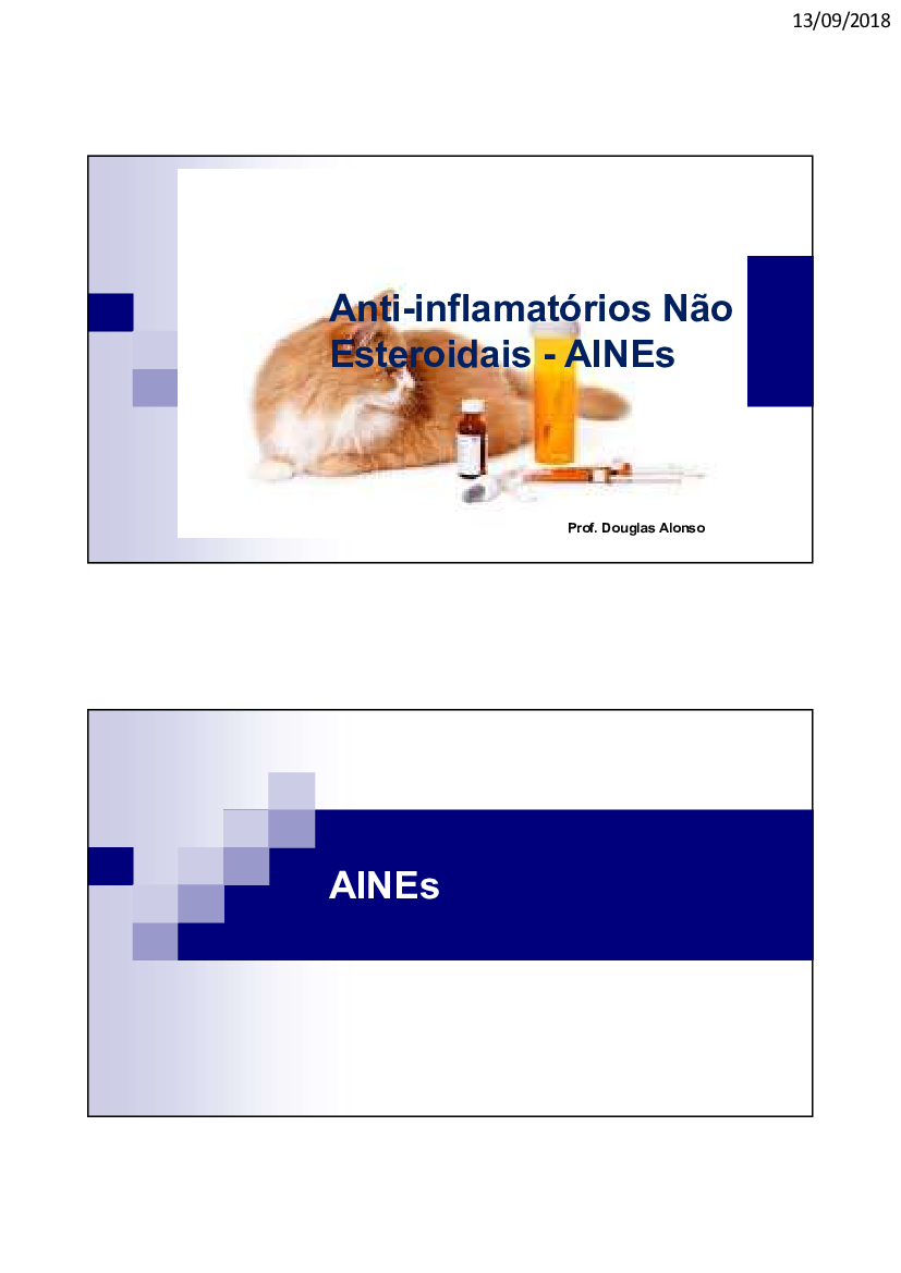 AIES-AINES aula PDF.pdf