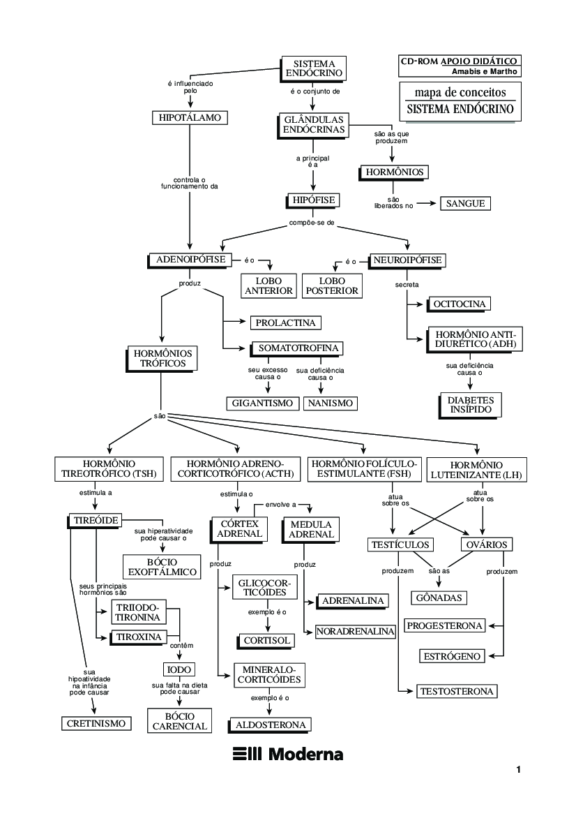 25 Mapa Mental Sistema Endócrino - Baixar pdf de 