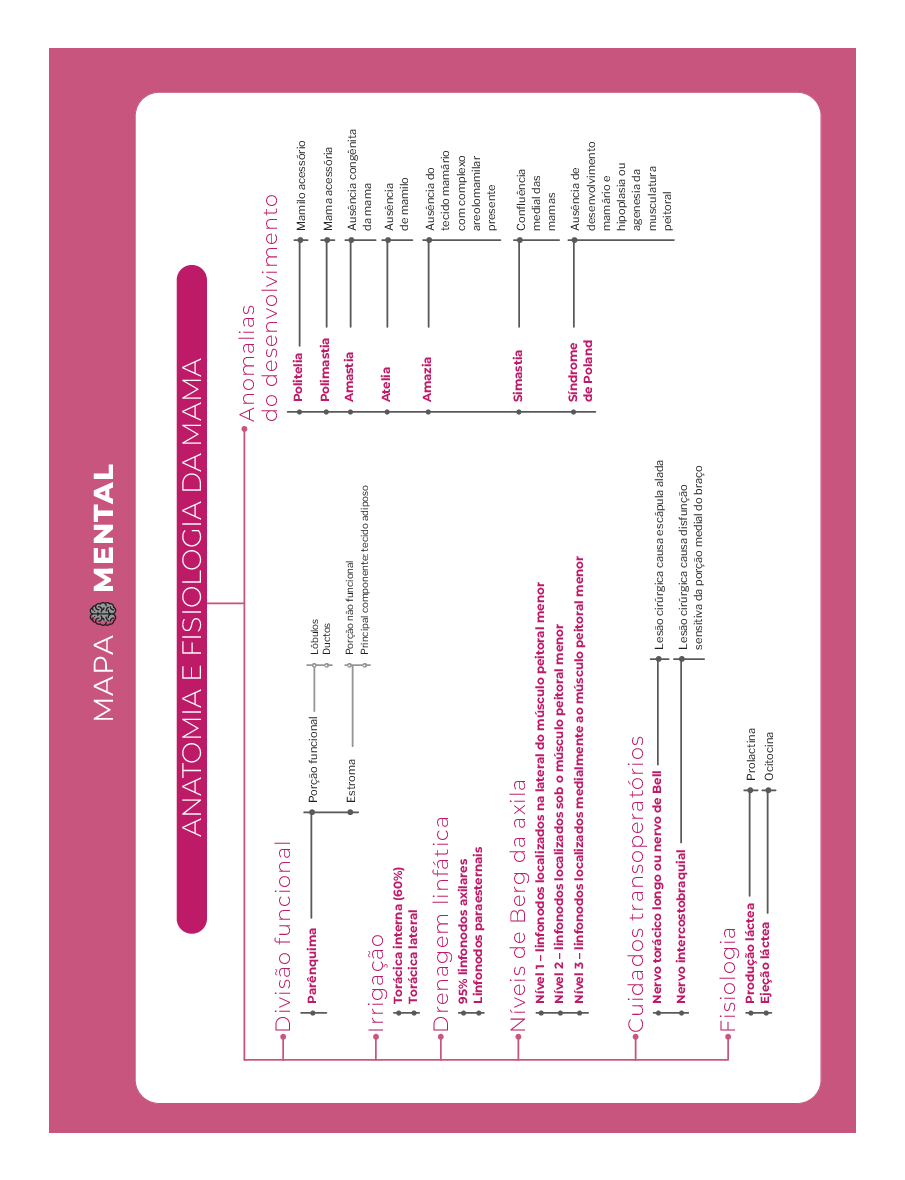 Anatomia e fisiologia da mama (Mapa Mental) - Baixar pdf de 