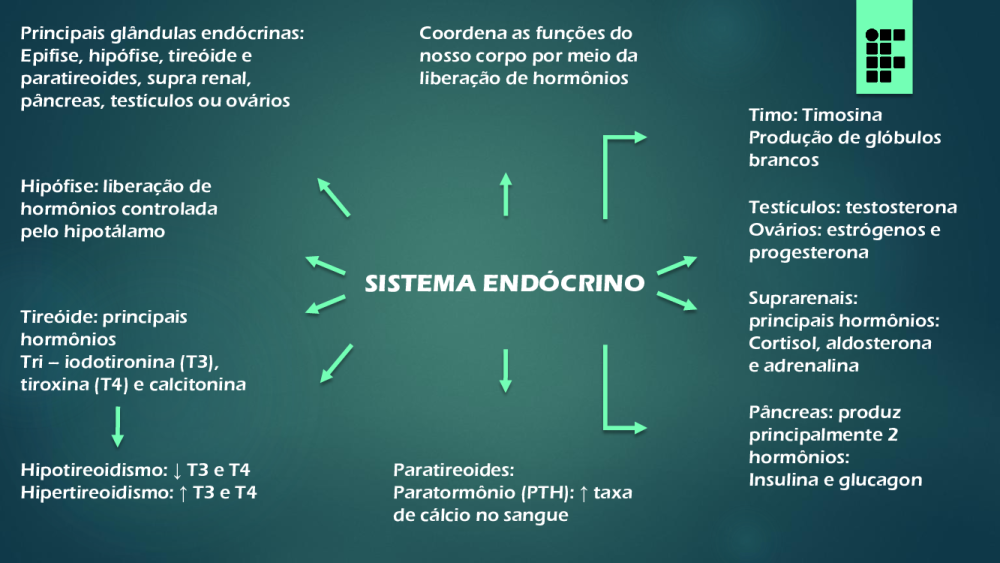 MAPA MENTAL SISTEMA ENDOCRINO - Baixar pdf de 