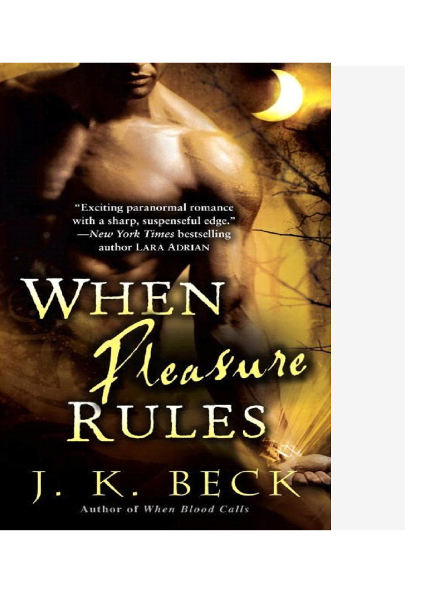 J K Beck 02 When Pleasure Rules Série The Shadow Keepers Baixar Pdf De