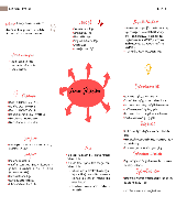 mapa mental anemia - Baixar pdf de 