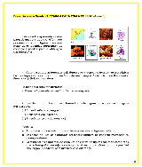 Quiz de Matemática e Português com torta na cara (6º ano) - Extensão X e  Xodó da Tia Joyce