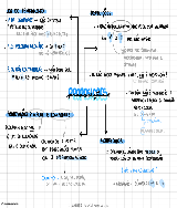 MATEMATICA MAPA MENTAL 7 - Baixar pdf de 