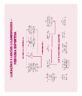 Mapa Mental - Luxação e lesões ligamentares - Medicina esportiva - Baixar  pdf de 