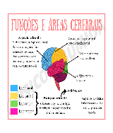 MAPA MENTAL] Capítulo 7 - Baixar pdf de 