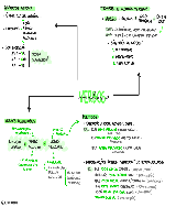 MAPA MENTAL verbos - Baixar pdf de 