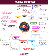 Mapa Mental Fisiologia Celular - Baixar pdf de 