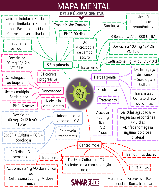 Mapa mental DSTs e Úlceras Genitais - Baixar pdf de 