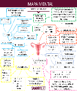 Mapa Mental Distopias Genitais - Baixar pdf de 