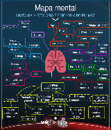 Mapa Mental Anatomia e Fisiologia do Pulmão - Baixar pdf de 