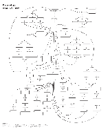 Semiología — Mapa mental (sin títulos) - Baixar pdf de 